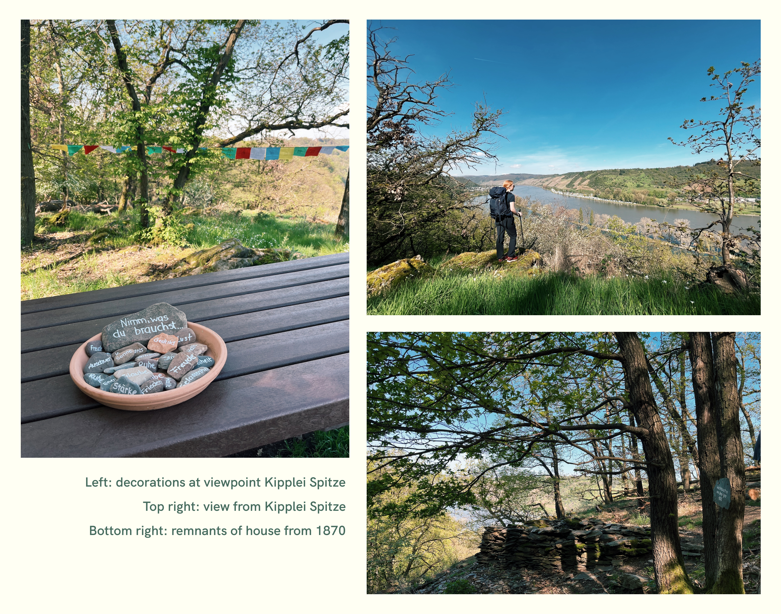 viewpoint-Kipplei-Spitze-on-the-rheinsteig-hiking-trail-in-germany