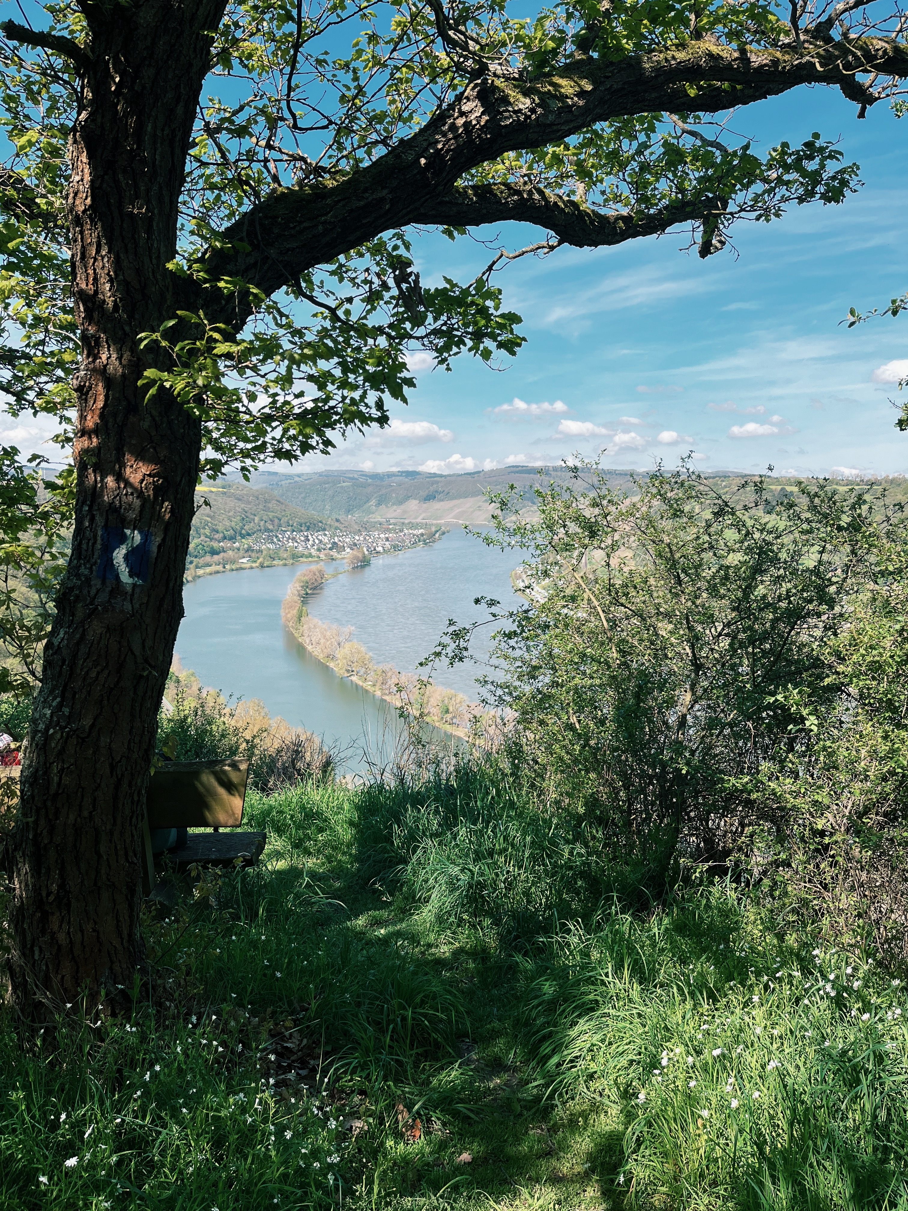 viewpoint-with-bench-on-the-rheinsteig-hiking-trail-in-germany