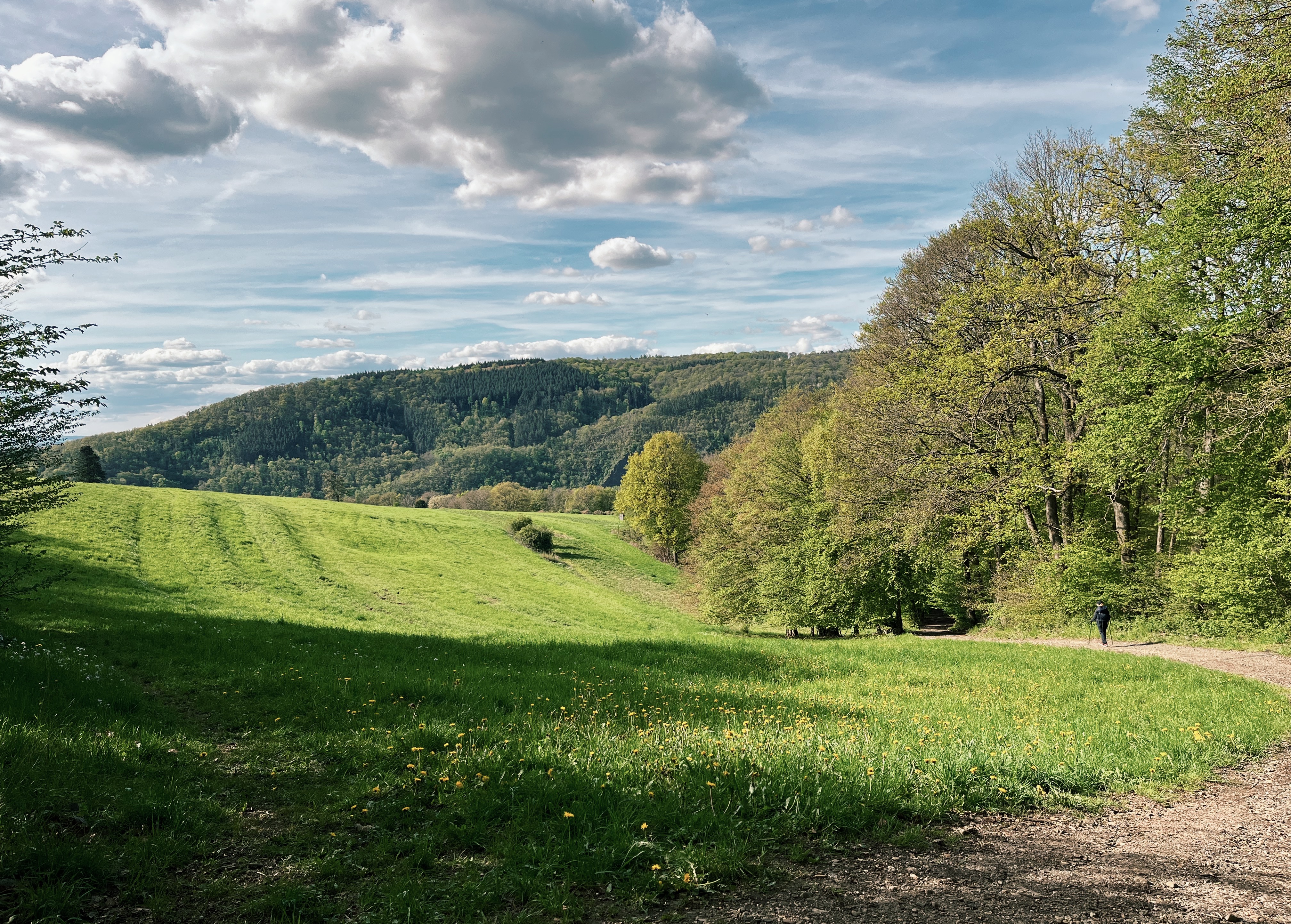 beautiful-meadow-on-the-rheinsteig-hiking-trail-in-germany