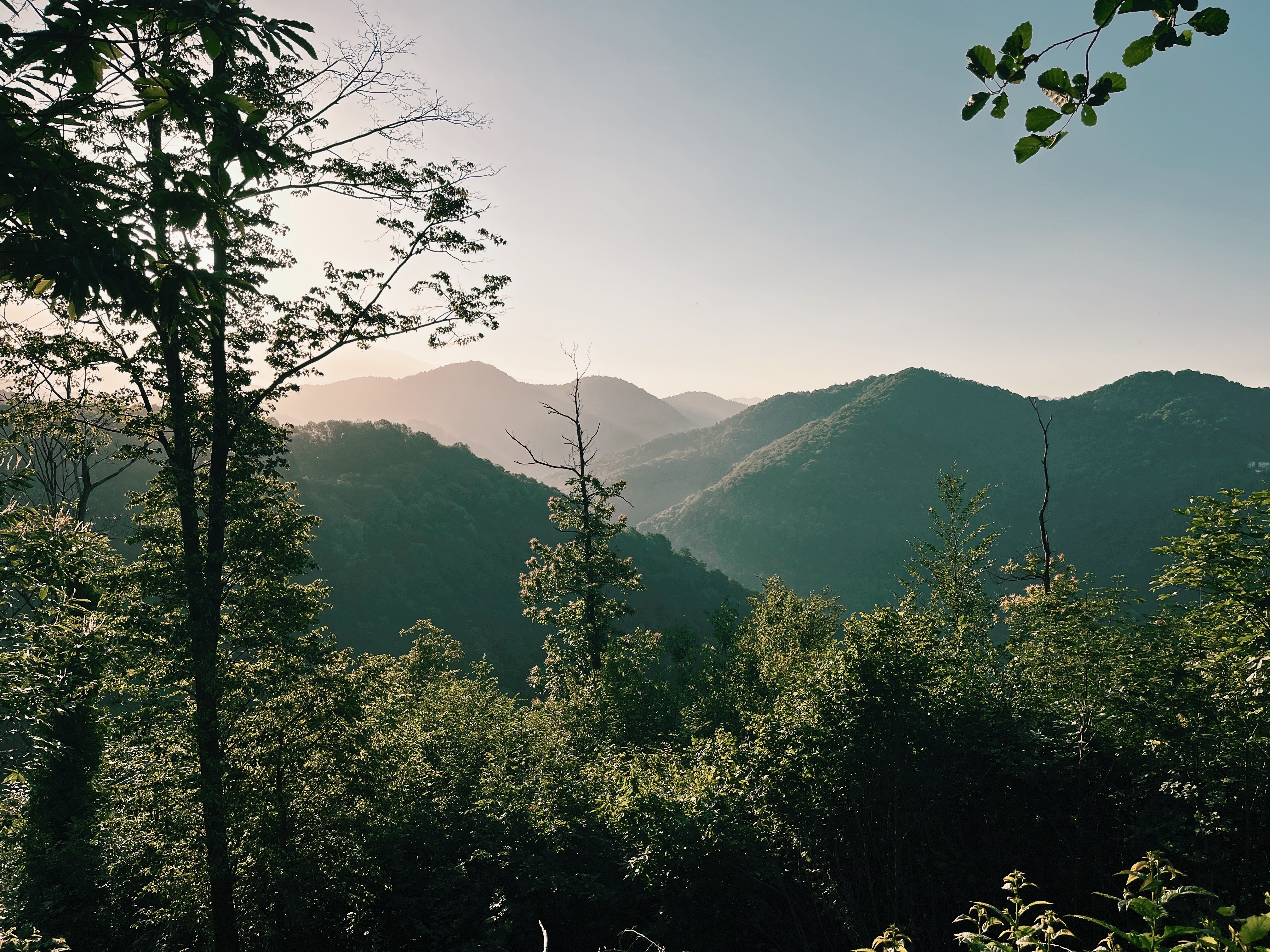 Sunrise over a forest and mountain range in Italy while Hiking the Alpe Adria Trail